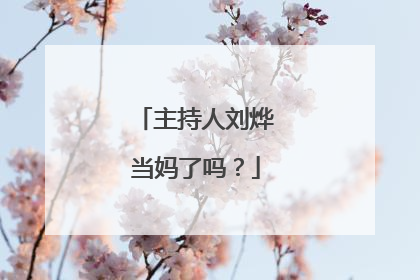 主持人刘烨当妈了吗？