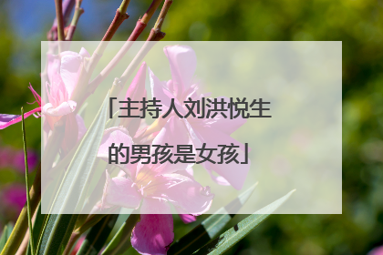 主持人刘洪悦生的男孩是女孩