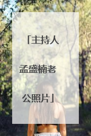 主持人孟盛楠老公照片