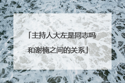 主持人大左是同志吗和谢楠之间的关系