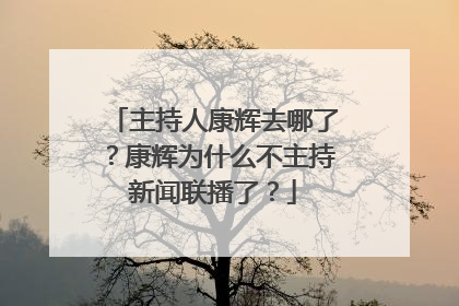 主持人康辉去哪了?康辉为什么不主持新闻联播了?