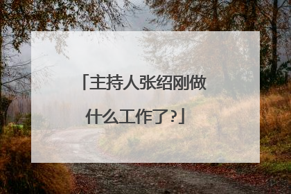 主持人张绍刚做什么工作了?