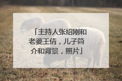 主持人张绍刚和老婆王倩，儿子简介和背景，照片