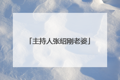 主持人张绍刚老婆