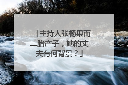 主持人张杨果而二胎产子，她的丈夫有何背景？