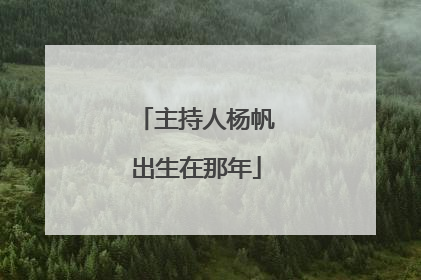 主持人杨帆出生在那年