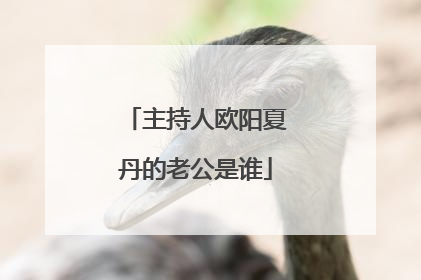 主持人欧阳夏丹的老公是谁