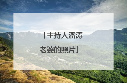 主持人潘涛老婆的照片