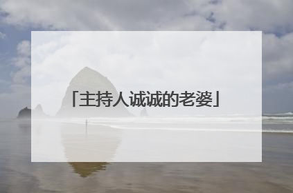 主持人诚诚的老婆