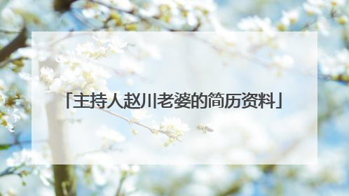 主持人赵川老婆的简历资料