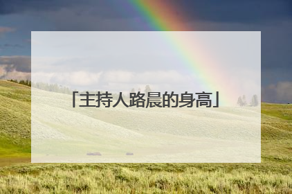 主持人路晨的身高