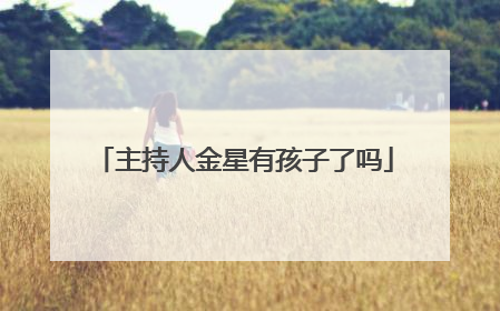主持人金星有孩子了吗