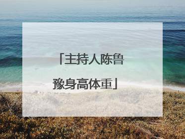 主持人陈鲁豫身高体重