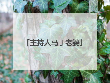 主持人马丁老婆