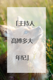 主持人高博多大年纪