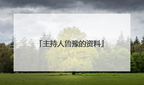 主持人鲁豫的资料