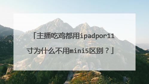主播吃鸡都用ipadpor11寸为什么不用mini5区别？