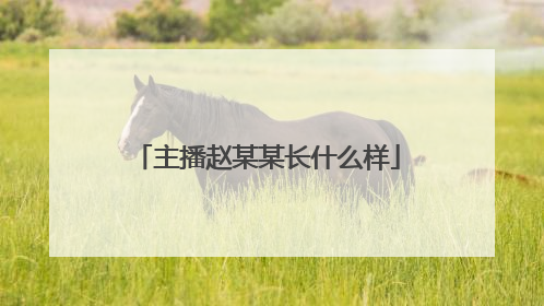 主播赵某某长什么样