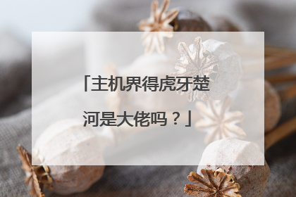 主机界得虎牙楚河是大佬吗？