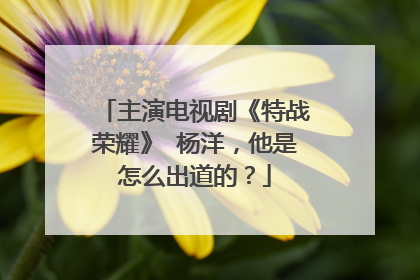 主演电视剧《特战荣耀》 杨洋，他是怎么出道的？