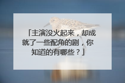 主演没火起来，却成就了一些配角的剧，你知道的有哪些？