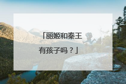 丽姬和秦王有孩子吗?