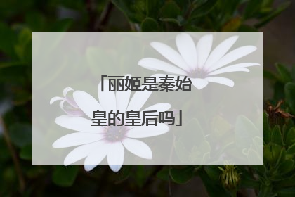 丽姬是秦始皇的皇后吗