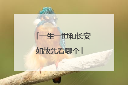 一生一世和长安如故先看哪个
