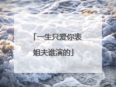 一生只爱你表姐夫谁演的