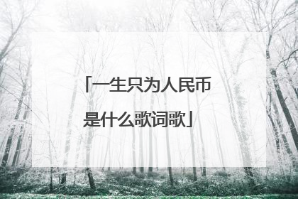 一生只为人民币是什么歌词歌