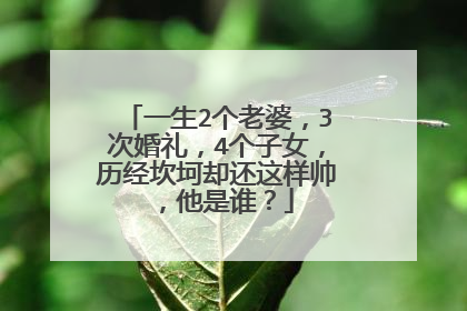 一生2个老婆,3次婚礼,4个子女,历经坎坷却还这样帅,他是谁?