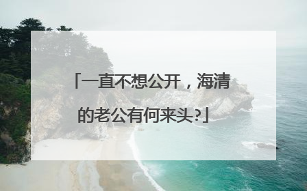 一直不想公开,海清的老公有何来头?