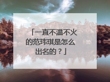 一直不温不火的范玮琪是怎么出名的?