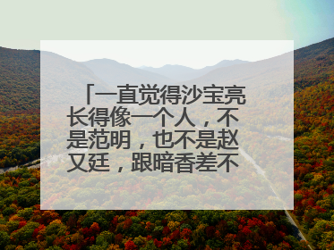 一直觉得沙宝亮长得像一个人,不是范明,也不是赵又廷,跟暗香差不多同时期的……