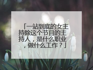 一站到底的女主持除这个节目的主持人,是什么职业,做什么工作?
