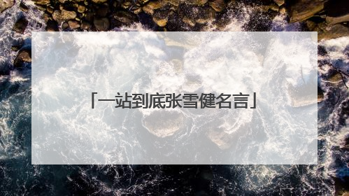 一站到底张雪健名言