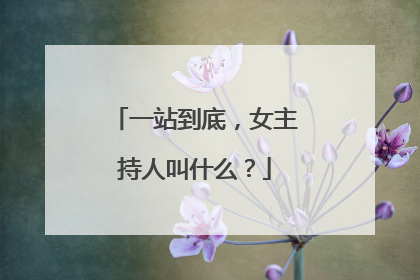 一站到底，女主持人叫什么？