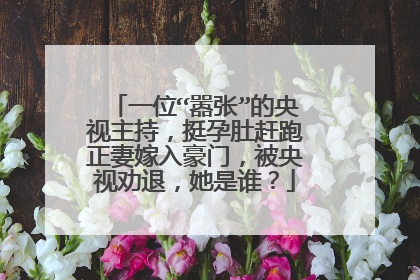 一位“嚣张”的央视主持,挺孕肚赶跑正妻嫁入豪门,被央视劝退,她是谁?