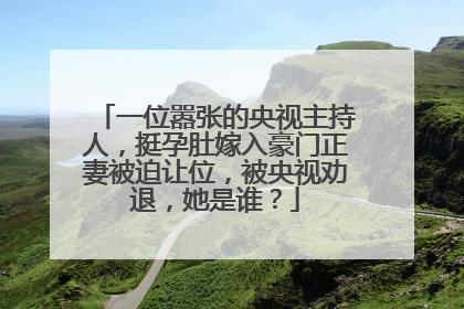 一位嚣张的央视主持人，挺孕肚嫁入豪门正妻被迫让位，被央视劝退，她是谁？