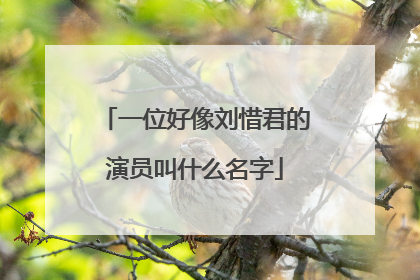 一位好像刘惜君的演员叫什么名字