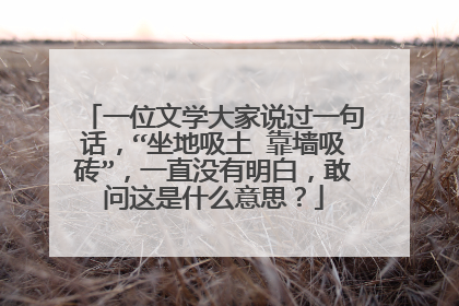 一位文学大家说过一句话，“坐地吸土 靠墙吸砖”，一直没有明白，敢问这是什么意思？