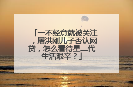 一不经意就被关注,屠洪刚儿子否认网贷,怎么看待星二代生活艰辛?