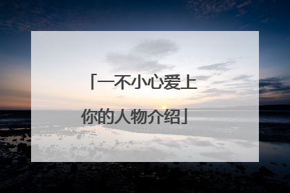 一不小心爱上你的人物介绍