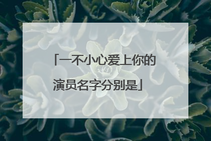 一不小心爱上你的演员名字分别是