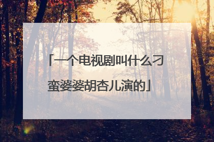 一个电视剧叫什么刁蛮婆婆胡杏儿演的