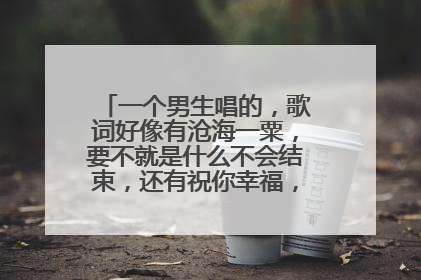 一个男生唱的,歌词好像有沧海一粟,要不就是什么不会结束,还有祝你幸福,结尾一直啦