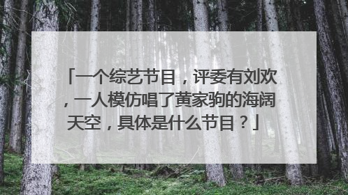 一个综艺节目，评委有刘欢，一人模仿唱了黄家驹的海阔天空，具体是什么节目？