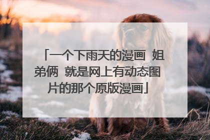 一个下雨天的漫画 姐弟俩 就是网上有动态图片的那个原版漫画