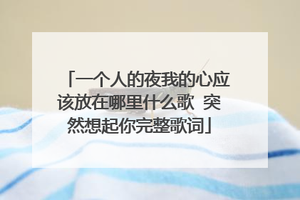一个人的夜我的心应该放在哪里什么歌 突然想起你完整歌词