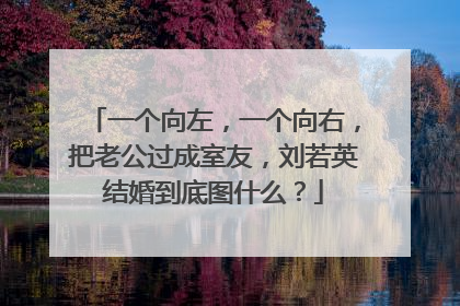 一个向左,一个向右,把老公过成室友,刘若英结婚到底图什么?